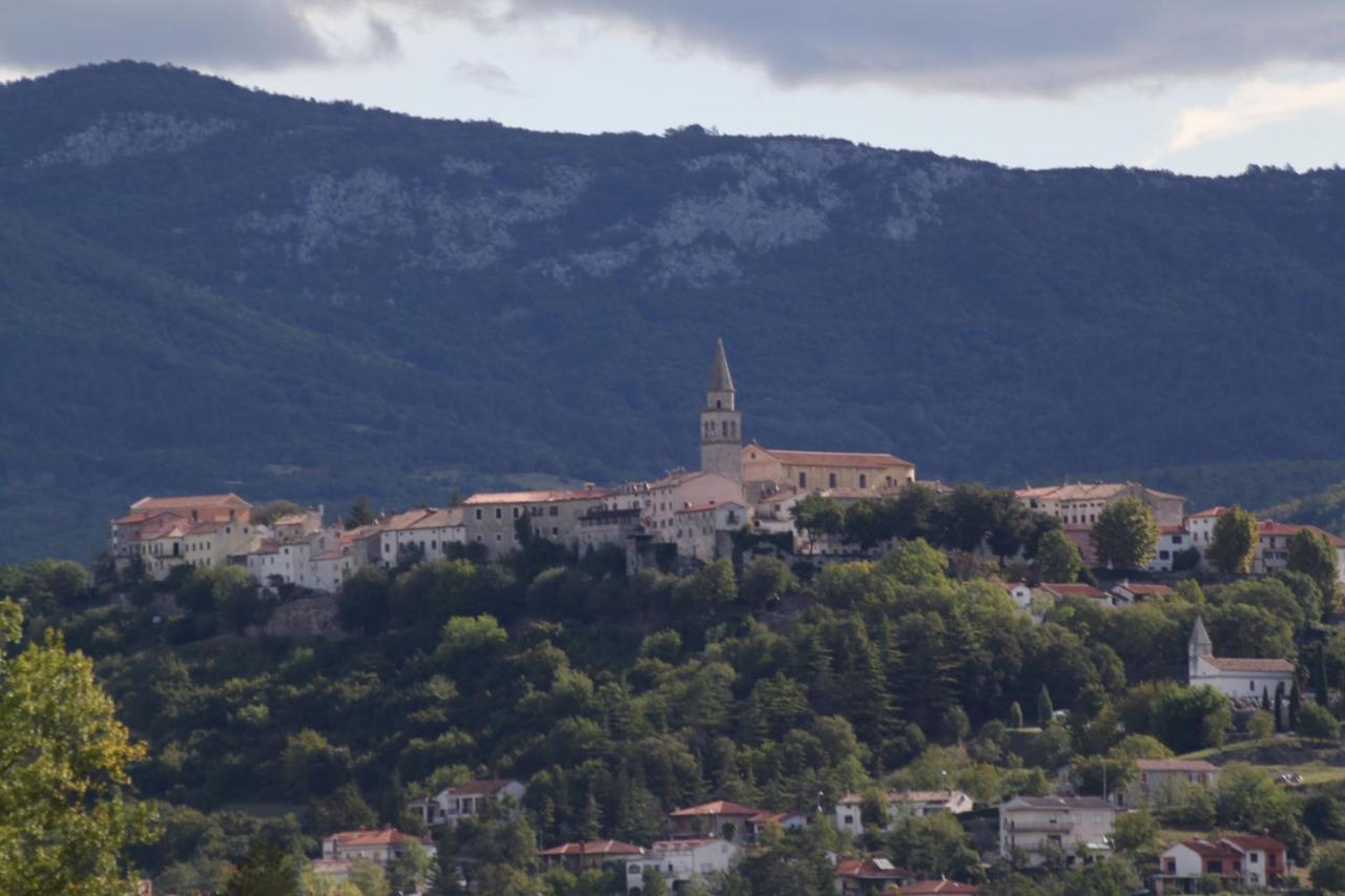 Apartment Buzet 17562A Bagian luar foto